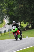 Motorcycle-action-photographs;Trackday-digital-images;cadwell;cadwell-park-photographs;event-digital-images;eventdigitalimages;motor-racing-louth-lincolnshire;no-limits-trackdays;peter-wileman-photography;trackday;trackday-photos