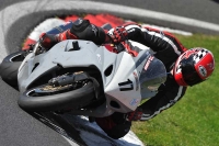 Motorcycle-action-photographs;Trackday-digital-images;cadwell;cadwell-park-photographs;event-digital-images;eventdigitalimages;motor-racing-louth-lincolnshire;no-limits-trackdays;peter-wileman-photography;trackday;trackday-photos