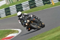 Motorcycle-action-photographs;Trackday-digital-images;cadwell;cadwell-park-photographs;event-digital-images;eventdigitalimages;motor-racing-louth-lincolnshire;no-limits-trackdays;peter-wileman-photography;trackday;trackday-photos