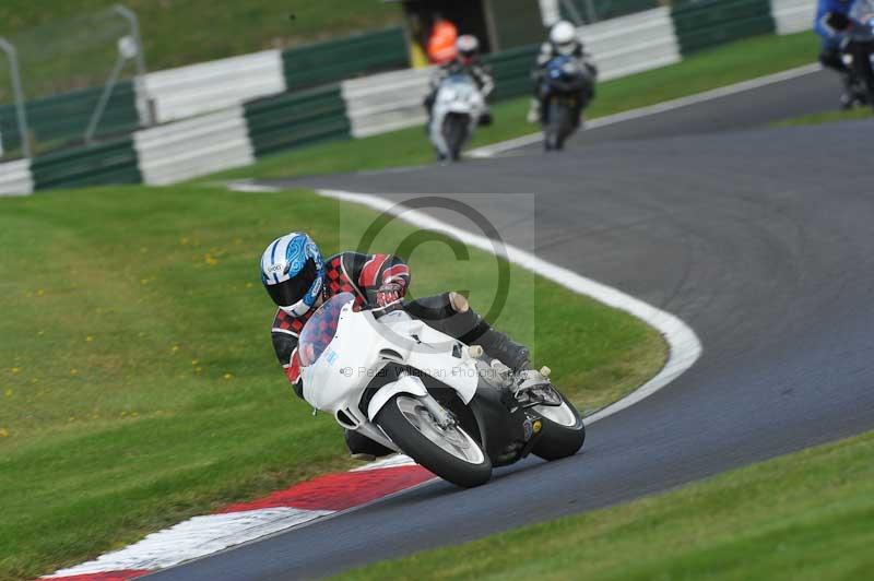 Motorcycle action photographs;Trackday digital images;cadwell;cadwell park photographs;event digital images;eventdigitalimages;motor racing louth lincolnshire;no limits trackdays;peter wileman photography;trackday;trackday photos