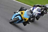 Motorcycle-action-photographs;Trackday-digital-images;cadwell;cadwell-park-photographs;event-digital-images;eventdigitalimages;motor-racing-louth-lincolnshire;no-limits-trackdays;peter-wileman-photography;trackday;trackday-photos