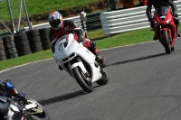 Motorcycle-action-photographs;Trackday-digital-images;cadwell;cadwell-park-photographs;event-digital-images;eventdigitalimages;motor-racing-louth-lincolnshire;no-limits-trackdays;peter-wileman-photography;trackday;trackday-photos