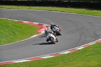Motorcycle-action-photographs;Trackday-digital-images;cadwell;cadwell-park-photographs;event-digital-images;eventdigitalimages;motor-racing-louth-lincolnshire;no-limits-trackdays;peter-wileman-photography;trackday;trackday-photos