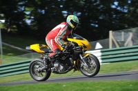 INTER GREEN/YELLOW BIKES