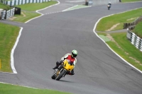 Motorcycle-action-photographs;Trackday-digital-images;cadwell;cadwell-park-photographs;event-digital-images;eventdigitalimages;motor-racing-louth-lincolnshire;no-limits-trackdays;peter-wileman-photography;trackday;trackday-photos