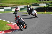 Motorcycle-action-photographs;Trackday-digital-images;cadwell;cadwell-park-photographs;event-digital-images;eventdigitalimages;motor-racing-louth-lincolnshire;no-limits-trackdays;peter-wileman-photography;trackday;trackday-photos