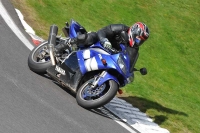 Motorcycle-action-photographs;Trackday-digital-images;cadwell;cadwell-park-photographs;event-digital-images;eventdigitalimages;motor-racing-louth-lincolnshire;no-limits-trackdays;peter-wileman-photography;trackday;trackday-photos
