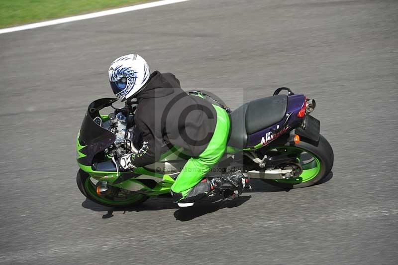 Motorcycle action photographs;Trackday digital images;cadwell;cadwell park photographs;event digital images;eventdigitalimages;motor racing louth lincolnshire;no limits trackdays;peter wileman photography;trackday;trackday photos