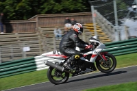 Motorcycle-action-photographs;Trackday-digital-images;cadwell;cadwell-park-photographs;event-digital-images;eventdigitalimages;motor-racing-louth-lincolnshire;no-limits-trackdays;peter-wileman-photography;trackday;trackday-photos