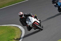 Motorcycle-action-photographs;Trackday-digital-images;cadwell;cadwell-park-photographs;event-digital-images;eventdigitalimages;motor-racing-louth-lincolnshire;no-limits-trackdays;peter-wileman-photography;trackday;trackday-photos