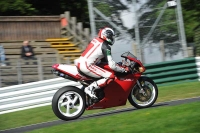 Motorcycle-action-photographs;Trackday-digital-images;cadwell;cadwell-park-photographs;event-digital-images;eventdigitalimages;motor-racing-louth-lincolnshire;no-limits-trackdays;peter-wileman-photography;trackday;trackday-photos