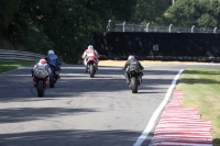 Motorcycle-action-photographs;brands;brands-hatch-photographs;event-digital-images;eventdigitalimages;motor-racing-london;no-limits-trackday;peter-wileman-photography;trackday;trackday-digital-images;trackday-photos