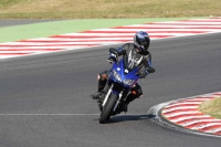 Motorcycle-action-photographs;brands;brands-hatch-photographs;event-digital-images;eventdigitalimages;motor-racing-london;no-limits-trackday;peter-wileman-photography;trackday;trackday-digital-images;trackday-photos