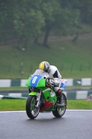 Motorcycle-action-photographs;Trackday-digital-images;cadwell;cadwell-park-photographs;event-digital-images;eventdigitalimages;motor-racing-louth-lincolnshire;no-limits-trackdays;peter-wileman-photography;trackday;trackday-photos