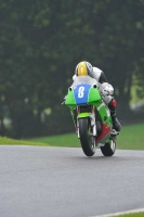 Motorcycle-action-photographs;Trackday-digital-images;cadwell;cadwell-park-photographs;event-digital-images;eventdigitalimages;motor-racing-louth-lincolnshire;no-limits-trackdays;peter-wileman-photography;trackday;trackday-photos