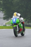 Motorcycle-action-photographs;Trackday-digital-images;cadwell;cadwell-park-photographs;event-digital-images;eventdigitalimages;motor-racing-louth-lincolnshire;no-limits-trackdays;peter-wileman-photography;trackday;trackday-photos
