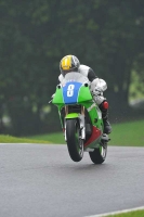 Motorcycle-action-photographs;Trackday-digital-images;cadwell;cadwell-park-photographs;event-digital-images;eventdigitalimages;motor-racing-louth-lincolnshire;no-limits-trackdays;peter-wileman-photography;trackday;trackday-photos