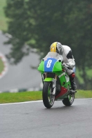 Motorcycle-action-photographs;Trackday-digital-images;cadwell;cadwell-park-photographs;event-digital-images;eventdigitalimages;motor-racing-louth-lincolnshire;no-limits-trackdays;peter-wileman-photography;trackday;trackday-photos