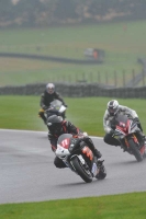 Motorcycle-action-photographs;Trackday-digital-images;cadwell;cadwell-park-photographs;event-digital-images;eventdigitalimages;motor-racing-louth-lincolnshire;no-limits-trackdays;peter-wileman-photography;trackday;trackday-photos