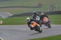 Motorcycle-action-photographs;Trackday-digital-images;cadwell;cadwell-park-photographs;event-digital-images;eventdigitalimages;motor-racing-louth-lincolnshire;no-limits-trackdays;peter-wileman-photography;trackday;trackday-photos