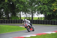 Motorcycle-action-photographs;Trackday-digital-images;cadwell;cadwell-park-photographs;event-digital-images;eventdigitalimages;motor-racing-louth-lincolnshire;no-limits-trackdays;peter-wileman-photography;trackday;trackday-photos