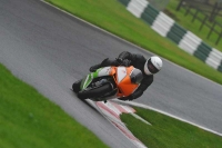 Motorcycle-action-photographs;Trackday-digital-images;cadwell;cadwell-park-photographs;event-digital-images;eventdigitalimages;motor-racing-louth-lincolnshire;no-limits-trackdays;peter-wileman-photography;trackday;trackday-photos