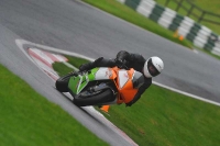 Motorcycle-action-photographs;Trackday-digital-images;cadwell;cadwell-park-photographs;event-digital-images;eventdigitalimages;motor-racing-louth-lincolnshire;no-limits-trackdays;peter-wileman-photography;trackday;trackday-photos