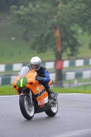 Motorcycle-action-photographs;Trackday-digital-images;cadwell;cadwell-park-photographs;event-digital-images;eventdigitalimages;motor-racing-louth-lincolnshire;no-limits-trackdays;peter-wileman-photography;trackday;trackday-photos