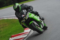 Motorcycle-action-photographs;Trackday-digital-images;cadwell;cadwell-park-photographs;event-digital-images;eventdigitalimages;motor-racing-louth-lincolnshire;no-limits-trackdays;peter-wileman-photography;trackday;trackday-photos