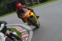 Motorcycle-action-photographs;Trackday-digital-images;cadwell;cadwell-park-photographs;event-digital-images;eventdigitalimages;motor-racing-louth-lincolnshire;no-limits-trackdays;peter-wileman-photography;trackday;trackday-photos