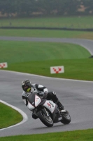 Motorcycle-action-photographs;Trackday-digital-images;cadwell;cadwell-park-photographs;event-digital-images;eventdigitalimages;motor-racing-louth-lincolnshire;no-limits-trackdays;peter-wileman-photography;trackday;trackday-photos