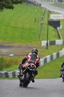 Motorcycle-action-photographs;Trackday-digital-images;cadwell;cadwell-park-photographs;event-digital-images;eventdigitalimages;motor-racing-louth-lincolnshire;no-limits-trackdays;peter-wileman-photography;trackday;trackday-photos
