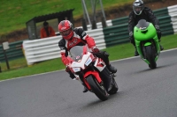 Motorcycle-action-photographs;Trackday-digital-images;cadwell;cadwell-park-photographs;event-digital-images;eventdigitalimages;motor-racing-louth-lincolnshire;no-limits-trackdays;peter-wileman-photography;trackday;trackday-photos