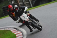 Motorcycle-action-photographs;Trackday-digital-images;cadwell;cadwell-park-photographs;event-digital-images;eventdigitalimages;motor-racing-louth-lincolnshire;no-limits-trackdays;peter-wileman-photography;trackday;trackday-photos
