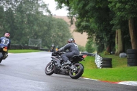 NOVICE BLACK/SILVER BIKES
