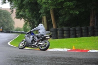 Motorcycle-action-photographs;Trackday-digital-images;cadwell;cadwell-park-photographs;event-digital-images;eventdigitalimages;motor-racing-louth-lincolnshire;no-limits-trackdays;peter-wileman-photography;trackday;trackday-photos