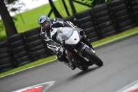 Motorcycle-action-photographs;Trackday-digital-images;cadwell;cadwell-park-photographs;event-digital-images;eventdigitalimages;motor-racing-louth-lincolnshire;no-limits-trackdays;peter-wileman-photography;trackday;trackday-photos