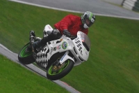 Motorcycle-action-photographs;Trackday-digital-images;cadwell;cadwell-park-photographs;event-digital-images;eventdigitalimages;motor-racing-louth-lincolnshire;no-limits-trackdays;peter-wileman-photography;trackday;trackday-photos