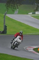 Motorcycle-action-photographs;Trackday-digital-images;cadwell;cadwell-park-photographs;event-digital-images;eventdigitalimages;motor-racing-louth-lincolnshire;no-limits-trackdays;peter-wileman-photography;trackday;trackday-photos
