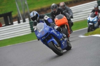 Motorcycle-action-photographs;Trackday-digital-images;cadwell;cadwell-park-photographs;event-digital-images;eventdigitalimages;motor-racing-louth-lincolnshire;no-limits-trackdays;peter-wileman-photography;trackday;trackday-photos
