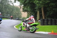 Motorcycle-action-photographs;Trackday-digital-images;cadwell;cadwell-park-photographs;event-digital-images;eventdigitalimages;motor-racing-louth-lincolnshire;no-limits-trackdays;peter-wileman-photography;trackday;trackday-photos