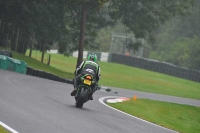 Motorcycle-action-photographs;Trackday-digital-images;cadwell;cadwell-park-photographs;event-digital-images;eventdigitalimages;motor-racing-louth-lincolnshire;no-limits-trackdays;peter-wileman-photography;trackday;trackday-photos