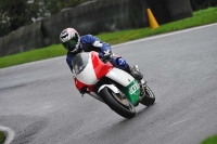 Motorcycle-action-photographs;Trackday-digital-images;cadwell;cadwell-park-photographs;event-digital-images;eventdigitalimages;motor-racing-louth-lincolnshire;no-limits-trackdays;peter-wileman-photography;trackday;trackday-photos