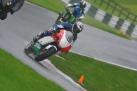 Motorcycle-action-photographs;Trackday-digital-images;cadwell;cadwell-park-photographs;event-digital-images;eventdigitalimages;motor-racing-louth-lincolnshire;no-limits-trackdays;peter-wileman-photography;trackday;trackday-photos
