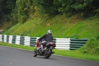 Motorcycle-action-photographs;Trackday-digital-images;cadwell;cadwell-park-photographs;event-digital-images;eventdigitalimages;motor-racing-louth-lincolnshire;no-limits-trackdays;peter-wileman-photography;trackday;trackday-photos