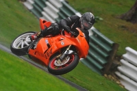 Motorcycle-action-photographs;Trackday-digital-images;cadwell;cadwell-park-photographs;event-digital-images;eventdigitalimages;motor-racing-louth-lincolnshire;no-limits-trackdays;peter-wileman-photography;trackday;trackday-photos