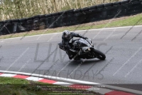 Novice Black/Silver Bikes