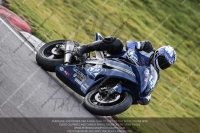 Evening Fast/Inter Blue/White Bikes