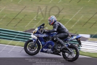 Novice Blue/White Bikes