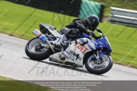 Blue Inter Blue/White Bikes